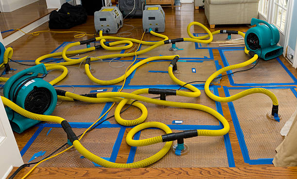 Professional Water Damage Restoration technician working in University Place, WA